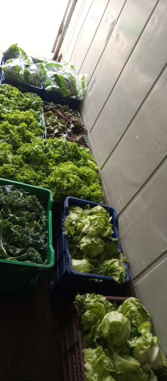 Vegetable Selection