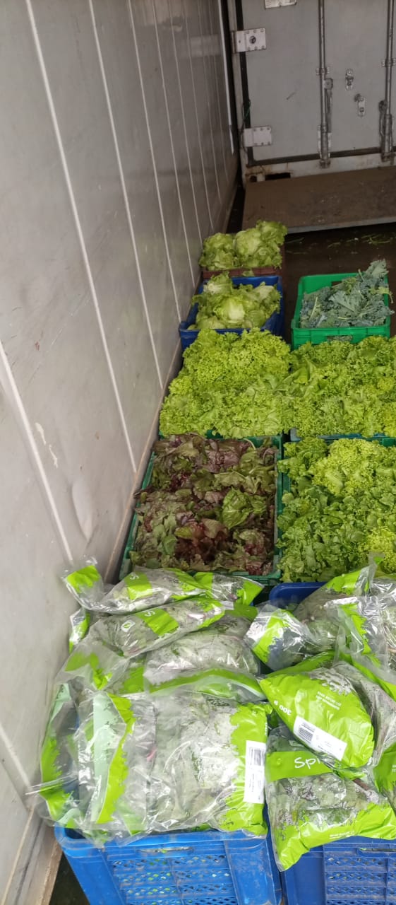 Crop Production