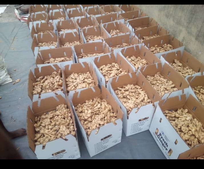 Yutaka Farm Harvest
