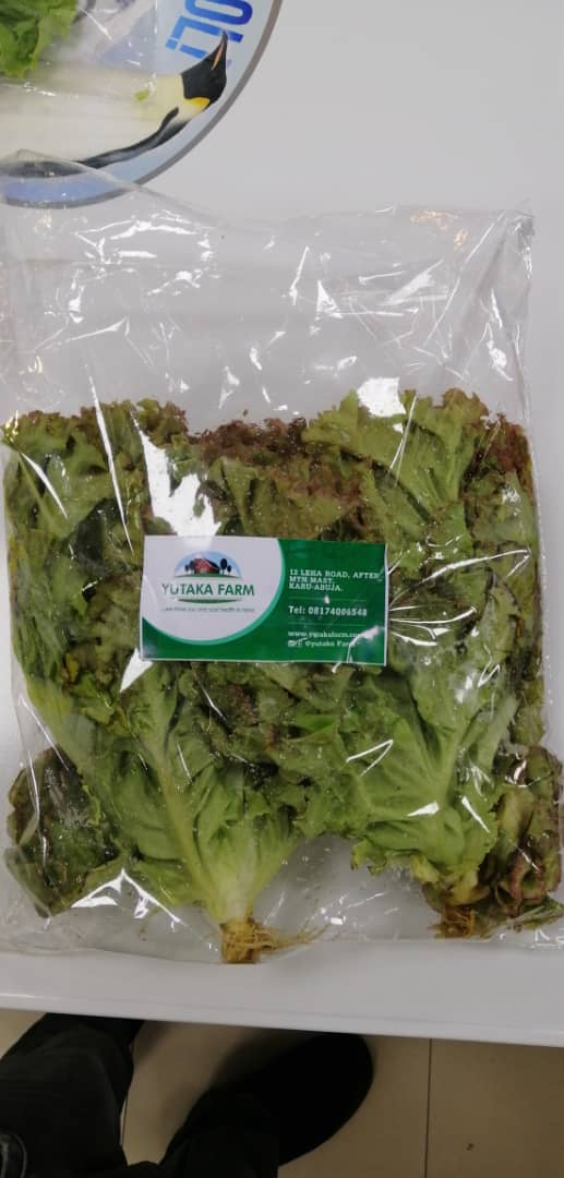 Lettuce